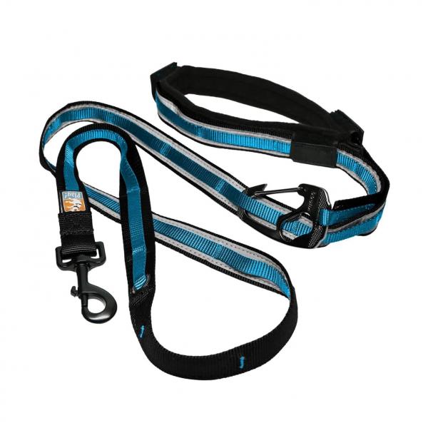 Kurgo Reflect & Protect Quantum Leash Coastal Blue